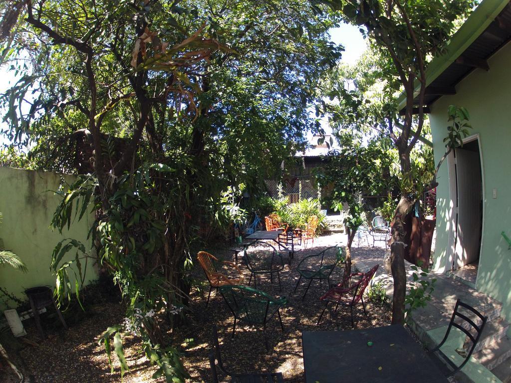 Hamaca Paraguaya Hostel Asunción Eksteriør billede
