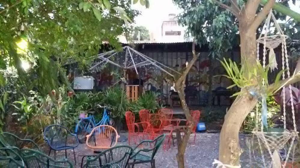 Hamaca Paraguaya Hostel Asunción Eksteriør billede